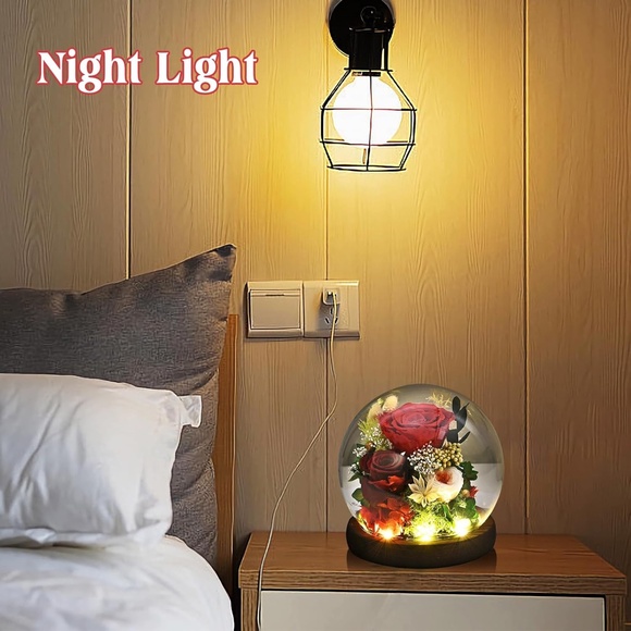 Preserved Rose Dome with Light - Picture 4 of 6